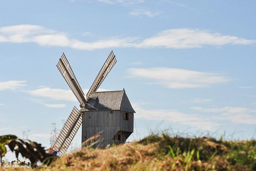 La chanoinesse 2024 7